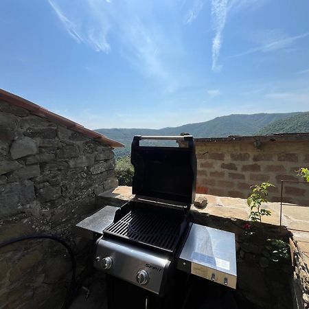 Bio Agriturismo Alba Etrusca Di Cortona - Organic Farmhouse- Appartamento Lavanda-Appartamento Rosmarino - Vasca Idromassaggio Esterna Poggioni ภายนอก รูปภาพ