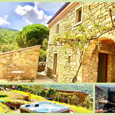 Bio Agriturismo Alba Etrusca Di Cortona - Organic Farmhouse- Appartamento Lavanda-Appartamento Rosmarino - Vasca Idromassaggio Esterna Poggioni ภายนอก รูปภาพ