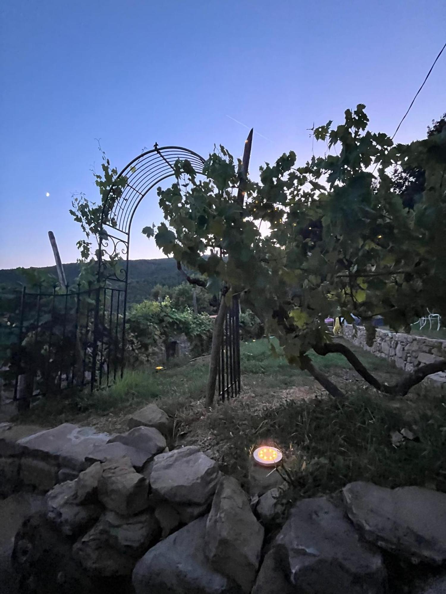 Bio Agriturismo Alba Etrusca Di Cortona - Organic Farmhouse- Appartamento Lavanda-Appartamento Rosmarino - Vasca Idromassaggio Esterna Poggioni ภายนอก รูปภาพ