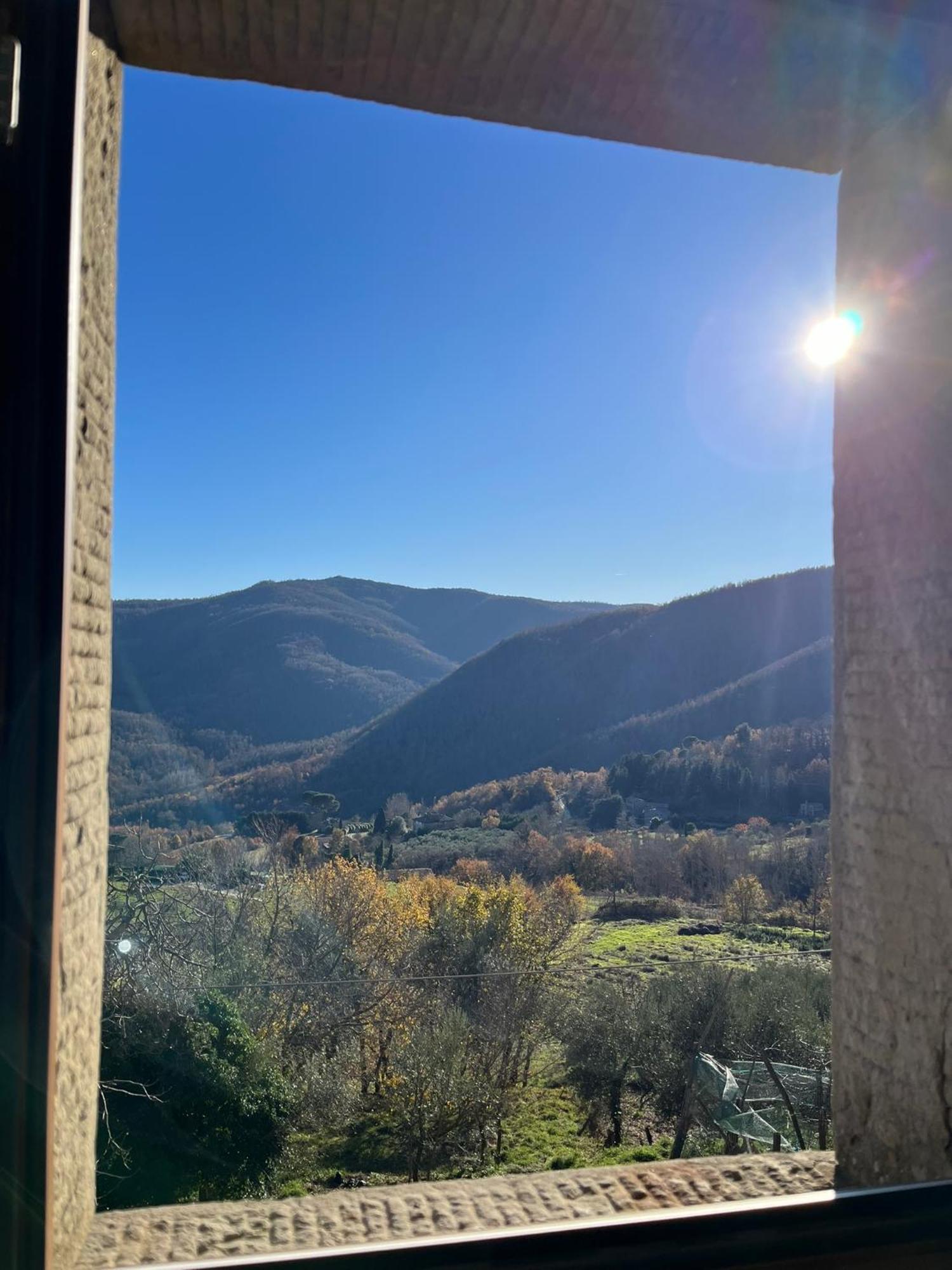 Bio Agriturismo Alba Etrusca Di Cortona - Organic Farmhouse- Appartamento Lavanda-Appartamento Rosmarino - Vasca Idromassaggio Esterna Poggioni ภายนอก รูปภาพ